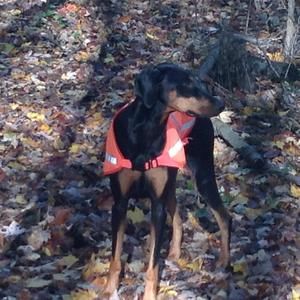 Meet your Posher, Joan